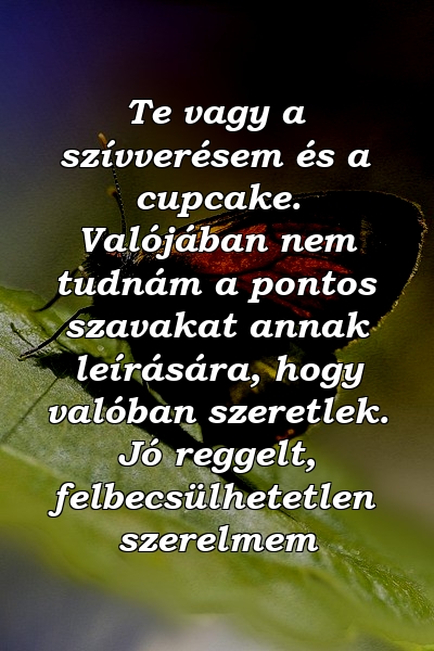 Te vagy a szívverésem és a cupcake. Valójában nem tudnám a pontos szavakat annak leírására, hogy valóban szeretlek. Jó reggelt, felbecsülhetetlen szerelmem