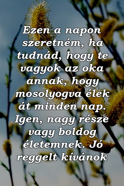 Ezen a napon szeretném, ha tudnád, hogy te vagyok az oka annak, hogy mosolyogva élek át minden nap. Igen, nagy része vagy boldog életemnek. Jó reggelt kívánok