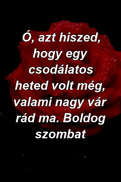 Ó, azt hiszed, hogy egy csodálatos heted volt még, valami nagy vár rád ma. Boldog szombat