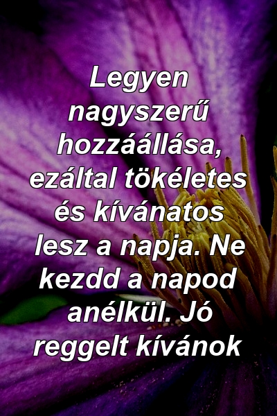 Legyen nagyszerű hozzáállása, ezáltal tökéletes és kívánatos lesz a napja. Ne kezdd a napod anélkül. Jó reggelt kívánok