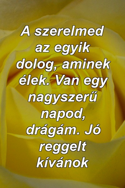 A szerelmed az egyik dolog, aminek élek. Van egy nagyszerű napod, drágám. Jó reggelt kívánok