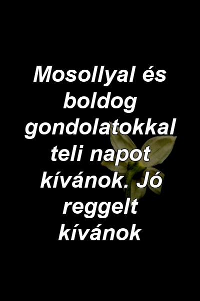 Mosollyal és boldog gondolatokkal teli napot kívánok. Jó reggelt kívánok