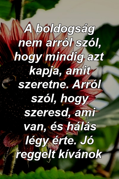 A boldogság nem arról szól, hogy mindig azt kapja, amit szeretne. Arról szól, hogy szeresd, ami van, és hálás légy érte. Jó reggelt kívánok