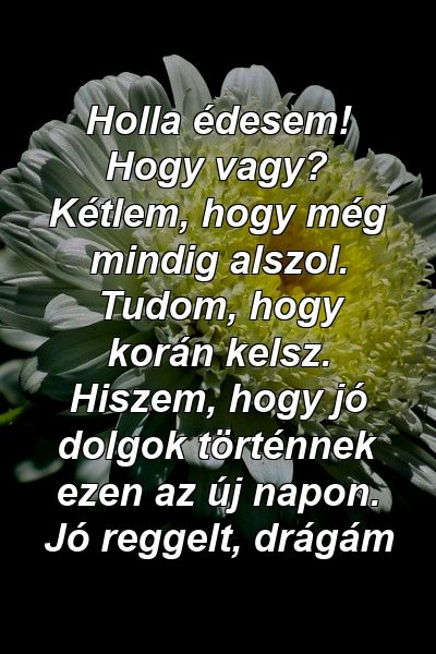 Holla édesem! Hogy vagy? Kétlem, hogy még mindig alszol. Tudom, hogy korán kelsz. Hiszem, hogy jó dolgok történnek ezen az új napon. Jó reggelt, drágám