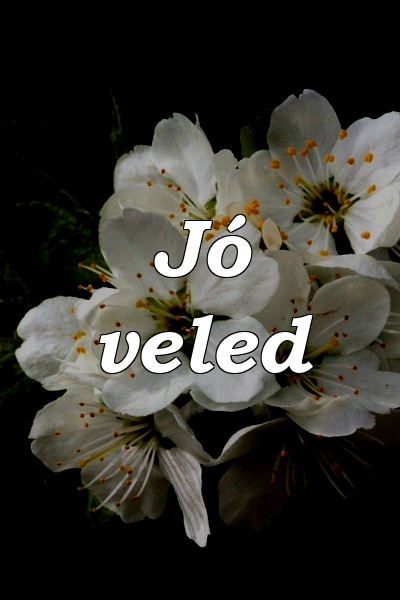 Jó veled