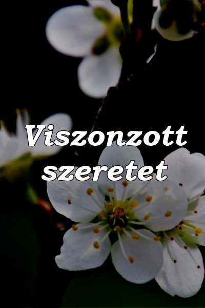 Viszonzott szeretet