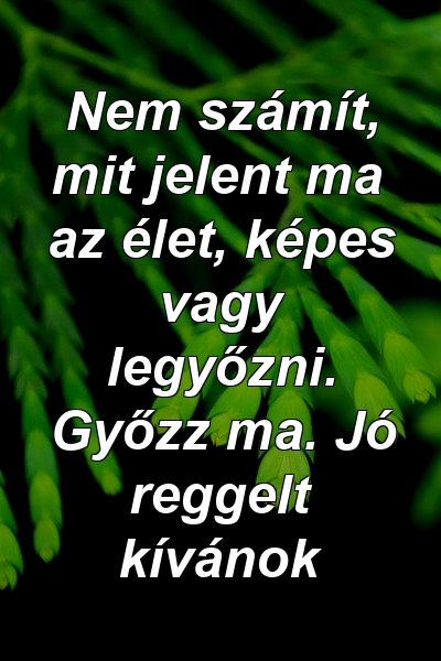 Nem számít, mit jelent ma az élet, képes vagy legyőzni. Győzz ma. Jó reggelt kívánok