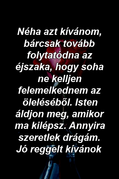 Néha azt kívánom, bárcsak tovább folytatódna az éjszaka, hogy soha ne kelljen felemelkednem az öleléséből. Isten áldjon meg, amikor ma kilépsz. Annyira szeretlek drágám. Jó reggelt kívánok