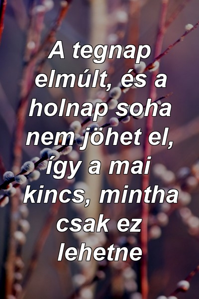 A tegnap elmúlt, és a holnap soha nem jöhet el, így a mai kincs, mintha csak ez lehetne