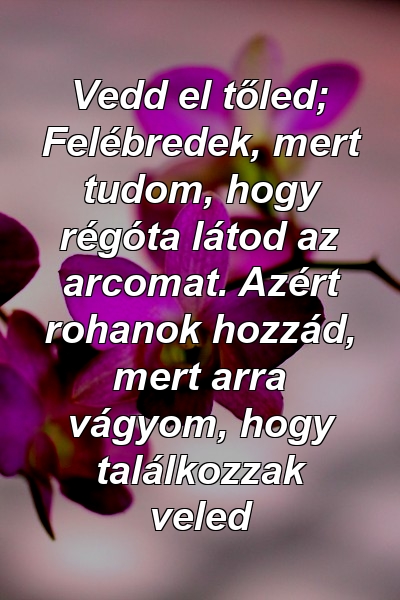 Vedd el tőled; Felébredek, mert tudom, hogy régóta látod az arcomat. Azért rohanok hozzád, mert arra vágyom, hogy találkozzak veled