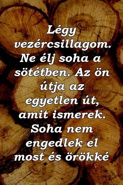 Légy vezércsillagom. Ne élj soha a sötétben. Az ön útja az egyetlen út, amit ismerek. Soha nem engedlek el most és örökké