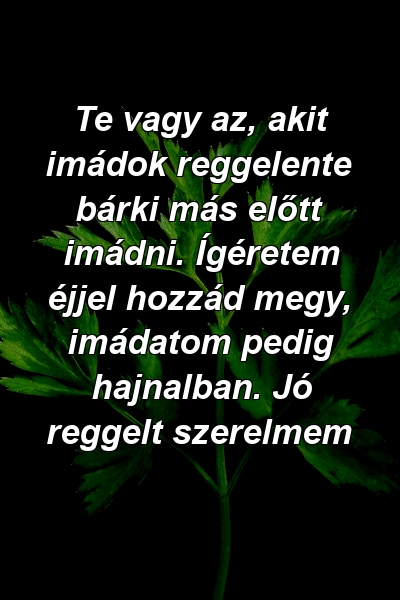 Te vagy az, akit imádok reggelente bárki más előtt imádni. Ígéretem éjjel hozzád megy, imádatom pedig hajnalban. Jó reggelt szerelmem