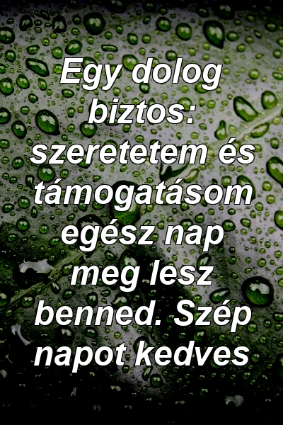 Egy dolog biztos: szeretetem és támogatásom egész nap meg lesz benned. Szép napot kedves