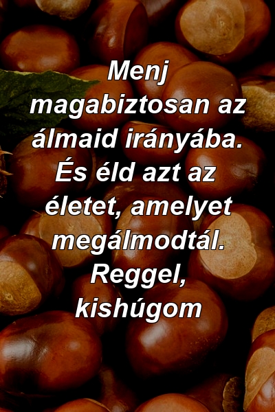 Menj magabiztosan az álmaid irányába. És éld azt az életet, amelyet megálmodtál. Reggel, kishúgom