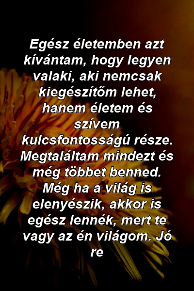 Egész életemben azt kívántam, hogy legyen valaki, aki nemcsak kiegészítőm lehet, hanem életem és szívem kulcsfontosságú része. Megtaláltam mindezt és még többet benned. Még ha a világ is elenyészik, akkor is egész lennék, mert te vagy az én világom. Jó re