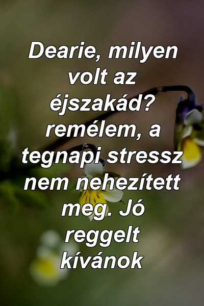 Dearie, milyen volt az éjszakád? remélem, a tegnapi stressz nem nehezített meg. Jó reggelt kívánok