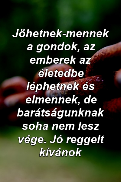 Jöhetnek-mennek a gondok, az emberek az életedbe léphetnek és elmennek, de barátságunknak soha nem lesz vége. Jó reggelt kívánok