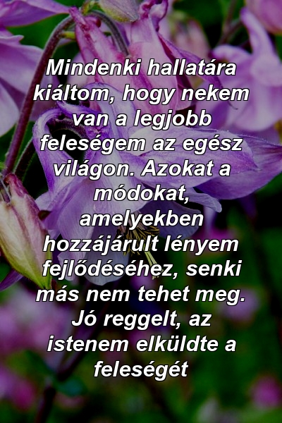 Mindenki hallatára kiáltom, hogy nekem van a legjobb feleségem az egész világon. Azokat a módokat, amelyekben hozzájárult lényem fejlődéséhez, senki más nem tehet meg. Jó reggelt, az istenem elküldte a feleségét