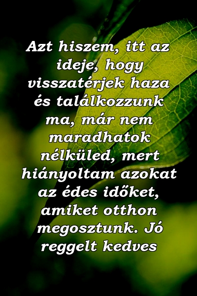 Azt hiszem, itt az ideje, hogy visszatérjek haza és találkozzunk ma, már nem maradhatok nélküled, mert hiányoltam azokat az édes időket, amiket otthon megosztunk. Jó reggelt kedves