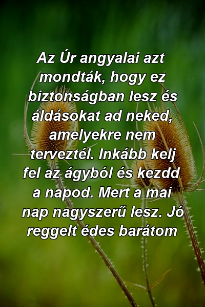 Az Úr angyalai azt mondták, hogy ez biztonságban lesz és áldásokat ad neked, amelyekre nem terveztél. Inkább kelj fel az ágyból és kezdd a napod. Mert a mai nap nagyszerű lesz. Jó reggelt édes barátom