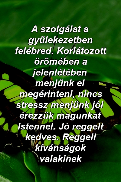 A szolgálat a gyülekezetben felébred. Korlátozott örömében a jelenlétében menjünk el megérinteni, nincs stressz menjünk jól érezzük magunkat Istennel. Jó reggelt kedves. Reggeli kívánságok valakinek