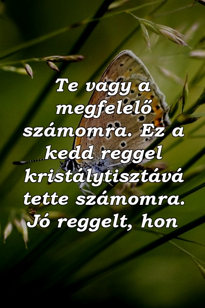 Te vagy a megfelelő számomra. Ez a kedd reggel kristálytisztává tette számomra. Jó reggelt, hon