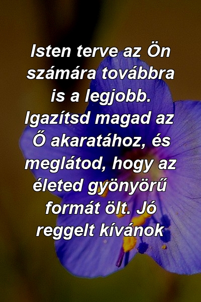 Isten terve az Ön számára továbbra is a legjobb. Igazítsd magad az Ő akaratához, és meglátod, hogy az életed gyönyörű formát ölt. Jó reggelt kívánok