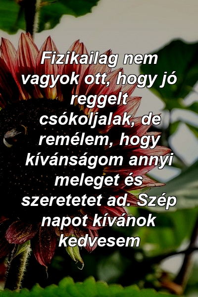 Fizikailag nem vagyok ott, hogy jó reggelt csókoljalak, de remélem, hogy kívánságom annyi meleget és szeretetet ad. Szép napot kívánok kedvesem