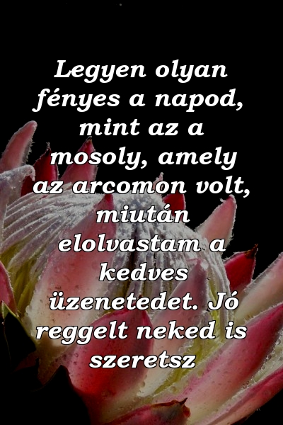 Legyen olyan fényes a napod, mint az a mosoly, amely az arcomon volt, miután elolvastam a kedves üzenetedet. Jó reggelt neked is szeretsz