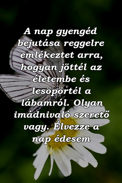 A nap gyengéd bejutása reggelre emlékeztet arra, hogyan jöttél az életembe és lesöpörtél a lábamról. Olyan imádnivaló szerető vagy. Élvezze a nap édesem