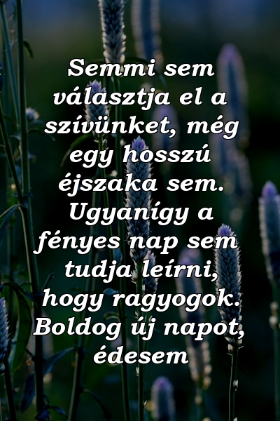 Semmi sem választja el a szívünket, még egy hosszú éjszaka sem. Ugyanígy a fényes nap sem tudja leírni, hogy ragyogok. Boldog új napot, édesem