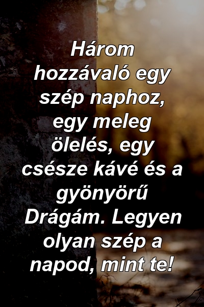 Három hozzávaló egy szép naphoz, egy meleg ölelés, egy csésze kávé és a gyönyörű Drágám. Legyen olyan szép a napod, mint te!