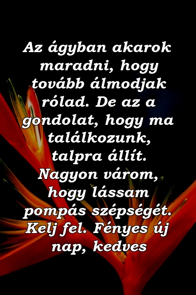 Az ágyban akarok maradni, hogy tovább álmodjak rólad. De az a gondolat, hogy ma találkozunk, talpra állít. Nagyon várom, hogy lássam pompás szépségét. Kelj fel. Fényes új nap, kedves