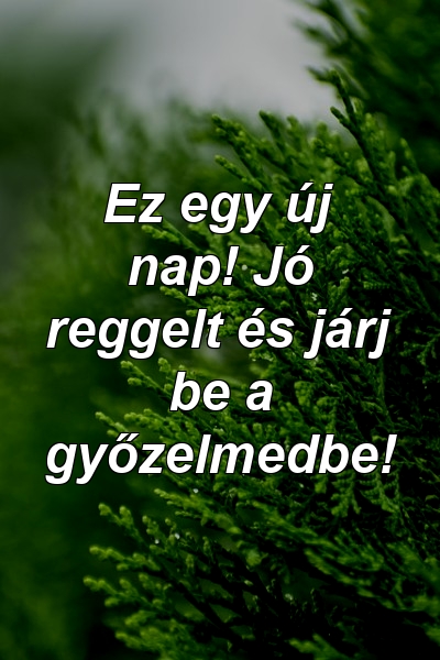 Ez egy új nap! Jó reggelt és járj be a győzelmedbe!