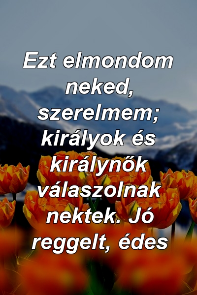 Ezt elmondom neked, szerelmem; királyok és királynők válaszolnak nektek. Jó reggelt, édes