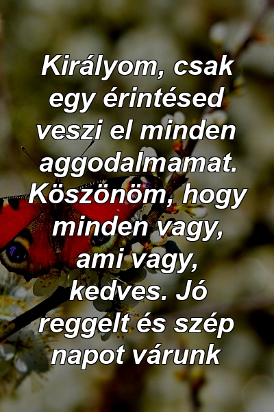 Királyom, csak egy érintésed veszi el minden aggodalmamat. Köszönöm, hogy minden vagy, ami vagy, kedves. Jó reggelt és szép napot várunk