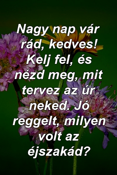 Nagy nap vár rád, kedves! Kelj fel, és nézd meg, mit tervez az úr neked. Jó reggelt, milyen volt az éjszakád?