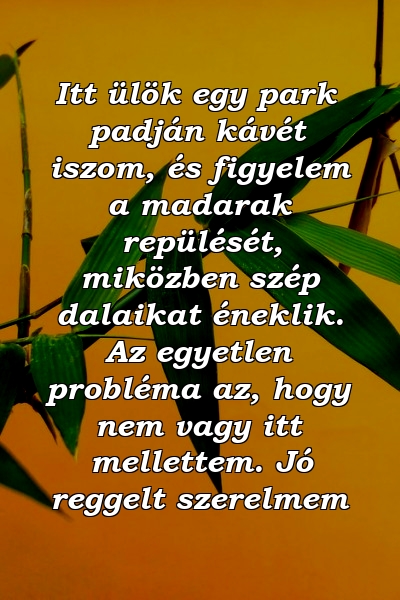 Itt ülök egy park padján kávét iszom, és figyelem a madarak repülését, miközben szép dalaikat éneklik. Az egyetlen probléma az, hogy nem vagy itt mellettem. Jó reggelt szerelmem