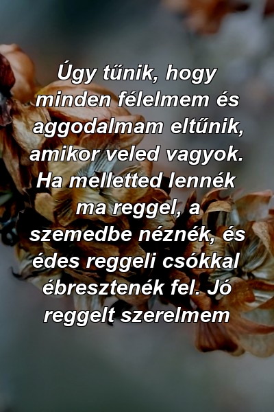 Úgy tűnik, hogy minden félelmem és aggodalmam eltűnik, amikor veled vagyok. Ha melletted lennék ma reggel, a szemedbe néznék, és édes reggeli csókkal ébresztenék fel. Jó reggelt szerelmem