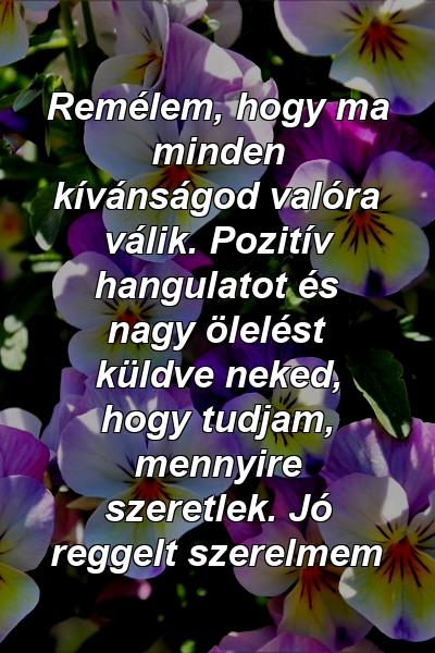 Remélem, hogy ma minden kívánságod valóra válik. Pozitív hangulatot és nagy ölelést küldve neked, hogy tudjam, mennyire szeretlek. Jó reggelt szerelmem