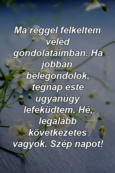 Ma reggel felkeltem veled gondolataimban. Ha jobban belegondolok, tegnap este ugyanúgy lefeküdtem. Hé, legalább következetes vagyok. Szép napot!