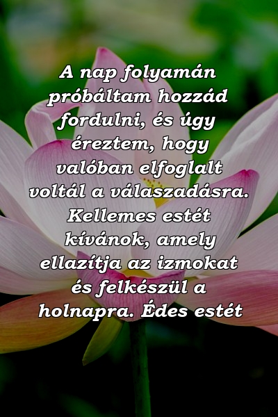 A nap folyamán próbáltam hozzád fordulni, és úgy éreztem, hogy valóban elfoglalt voltál a válaszadásra. Kellemes estét kívánok, amely ellazítja az izmokat és felkészül a holnapra. Édes estét