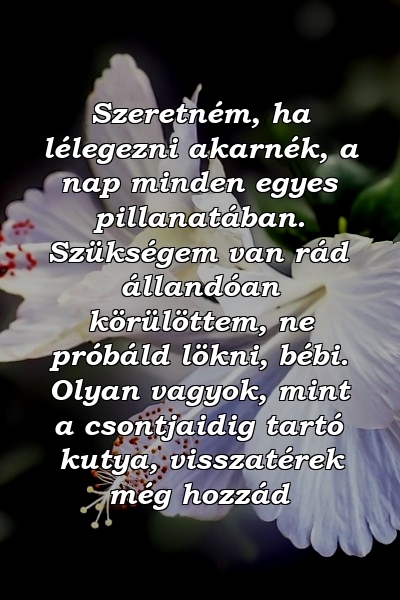 Szeretném, ha lélegezni akarnék, a nap minden egyes pillanatában. Szükségem van rád állandóan körülöttem, ne próbáld lökni, bébi. Olyan vagyok, mint a csontjaidig tartó kutya, visszatérek még hozzád