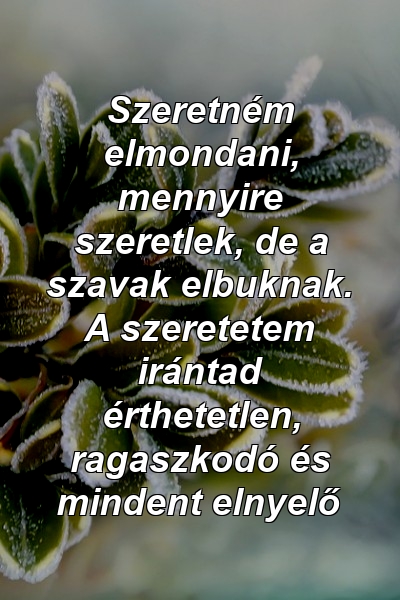 Szeretném elmondani, mennyire szeretlek, de a szavak elbuknak. A szeretetem irántad érthetetlen, ragaszkodó és mindent elnyelő