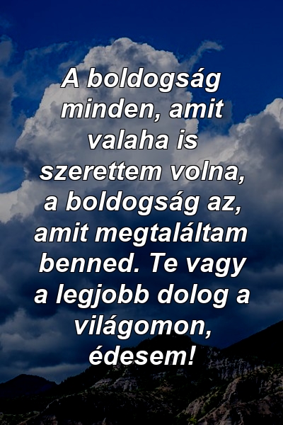 A boldogság minden, amit valaha is szerettem volna, a boldogság az, amit megtaláltam benned. Te vagy a legjobb dolog a világomon, édesem!