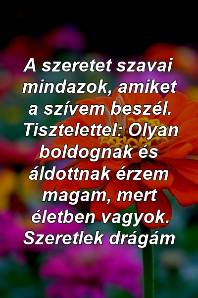 A szeretet szavai mindazok, amiket a szívem beszél. Tisztelettel: Olyan boldognak és áldottnak érzem magam, mert életben vagyok. Szeretlek drágám