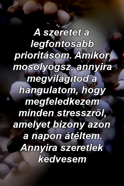 A szeretet a legfontosabb prioritásom. Amikor mosolyogsz, annyira megvilágítod a hangulatom, hogy megfeledkezem minden stresszről, amelyet bizony azon a napon átéltem. Annyira szeretlek kedvesem