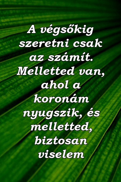 A végsőkig szeretni csak az számít. Melletted van, ahol a koronám nyugszik, és melletted, biztosan viselem