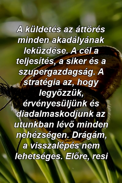 A küldetés az áttörés minden akadályának leküzdése. A cél a teljesítés, a siker és a szupergazdagság. A stratégia az, hogy legyőzzük, érvényesüljünk és diadalmaskodjunk az utunkban lévő minden nehézségen. Drágám, a visszalépés nem lehetséges. Előre, resi