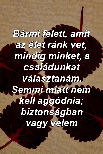 Bármi felett, amit az élet ránk vet, mindig minket, a családunkat választanám. Semmi miatt nem kell aggódnia; biztonságban vagy velem